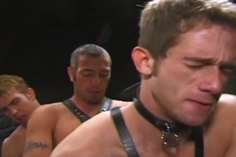 yummy Kyle Turned Up For sadomasochism homo Sex