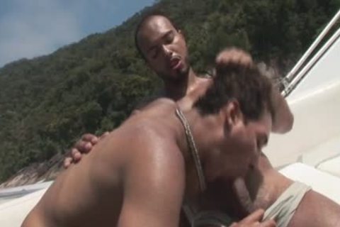 homo And On The plough Boat To Assholepoundville