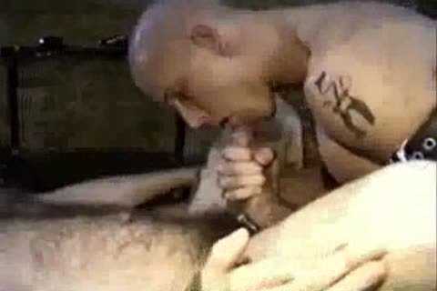 Pigs At The Trough