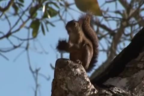 Hunk Latino homosexual dudes Intimate Outdoor Sex