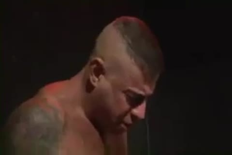 lustful Tatted Bears