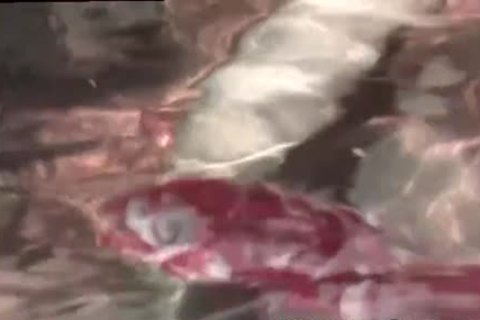 he's A Great Lil' penis