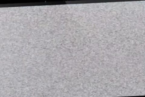 Hung Bear plows And Cums