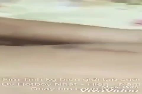 Hoa Nắng 5