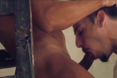 Painters bareback Break