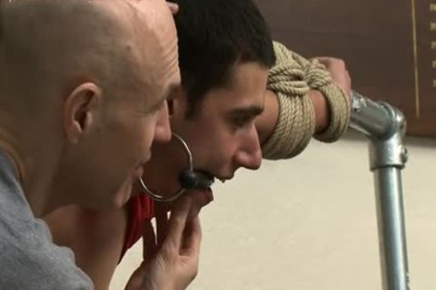 Searching For A St8 weenie