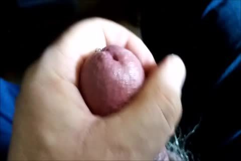 Die Eichel (The Glans)