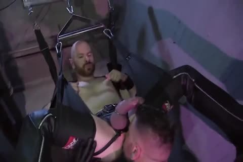 DW - vicious Playrooms UK Edition