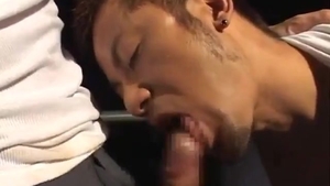 THE CONSTRUCTIONS WORKER