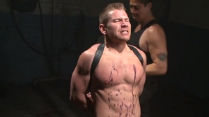 AA3_Stud willing To Endure Anything