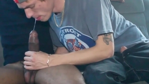 BBC Breeds Blond twink