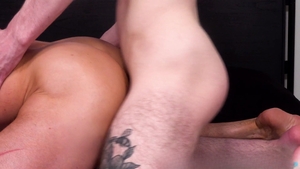 twinkloads: Tall Top Transforms into Insatiable Bottom