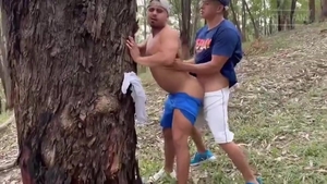 Morboso pound In The Park