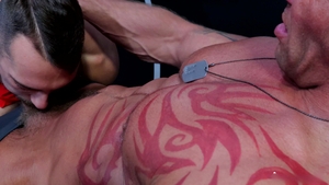 Family Creep: Alpha Studio Group Secrets