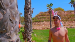 The Used Rabbit Chronicles: Tales of Temptation