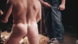 Falcon Studios: Old West Warming Welcome