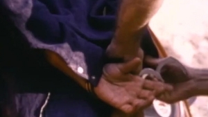 Falcon Studios: Naked and Nailed: A Prison Prologue