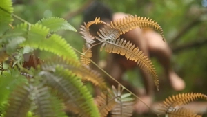 Men: Rainforest Rimming for Two