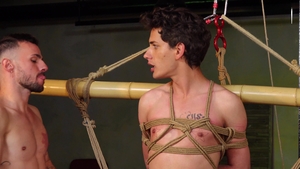 Yoked Tyler's Captive Climax