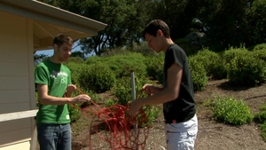 Next Door Twink: A Stuffed Bear's Raunchy Education