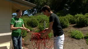 Next Door Twink: A Stuffed Bear's Raunchy Education