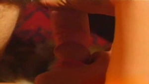 Boyz Party: Intertwined Hearts: Forest Frenzy