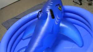 Dick Dorm: Hidden Cameras Capture the Ultimate Male Party