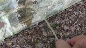 Czech Hunter: Dirty Encounter In The Park