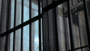 Fetish Force: Moans of Pleasure and Pain